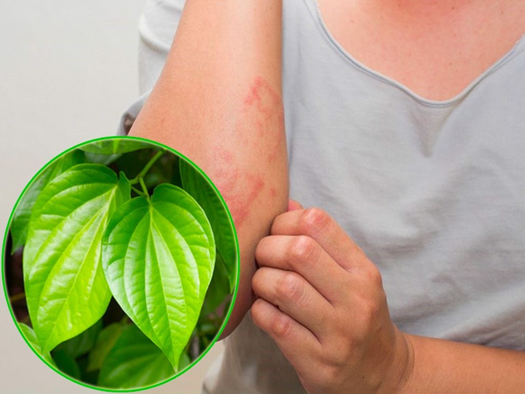 mot-so-luu-y-can-tranh-khi-dung-la-trau-khong