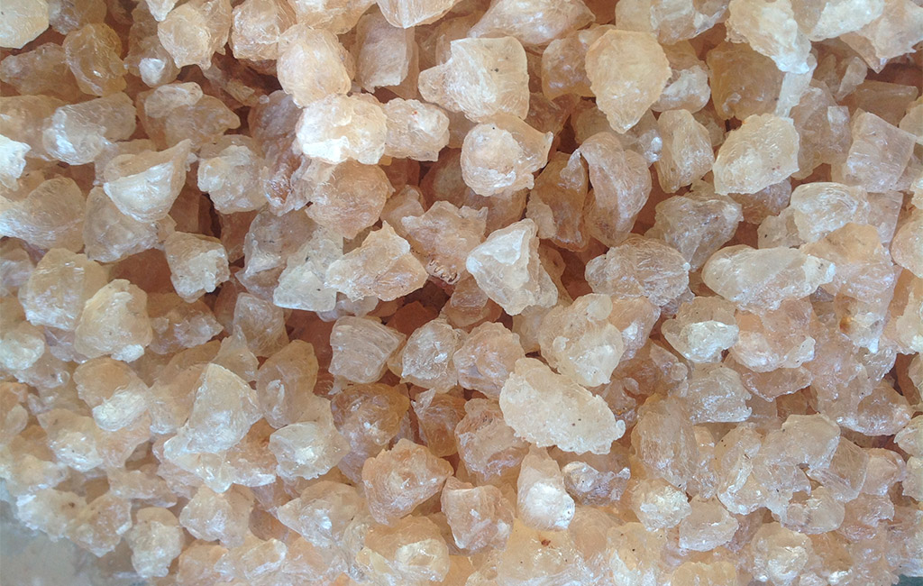 mu-trom-ninh-thuan Mủ trôm, loại thực phẩm rất tốt cho sức khỏe